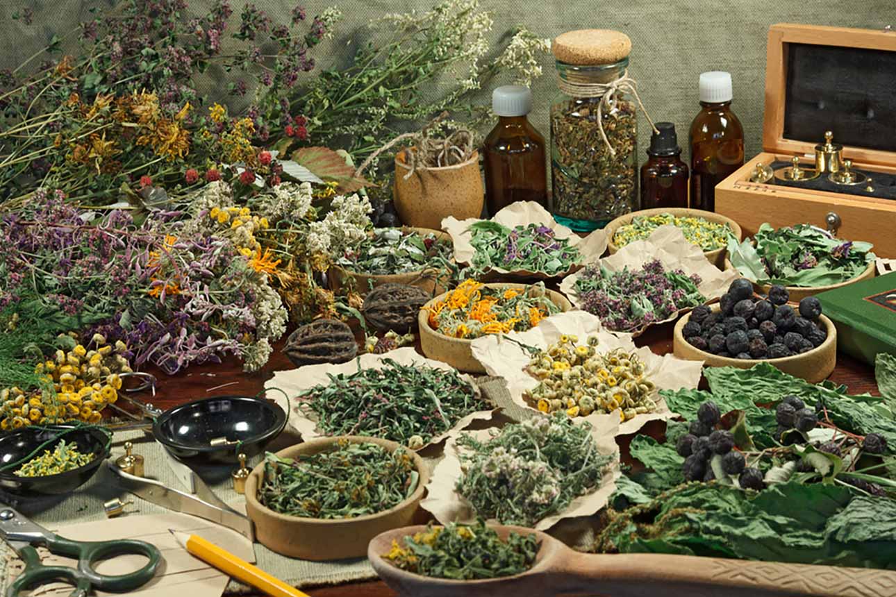 Herbal Tea: The Delicious Medicine In Your Pantry – Capital Teas